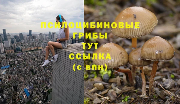 гидропоника Беломорск