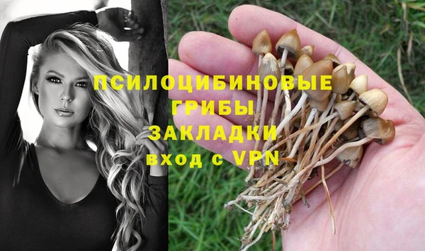 марки nbome Белокуриха