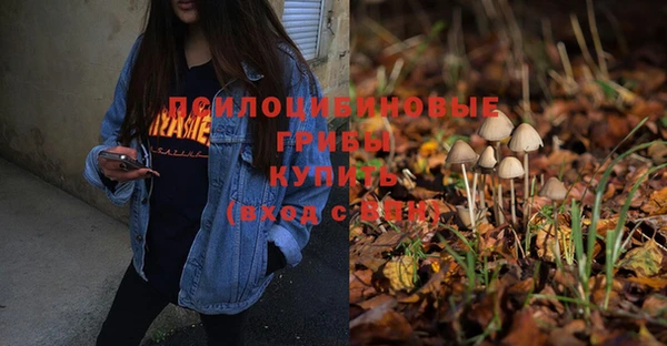 метадон Белоозёрский