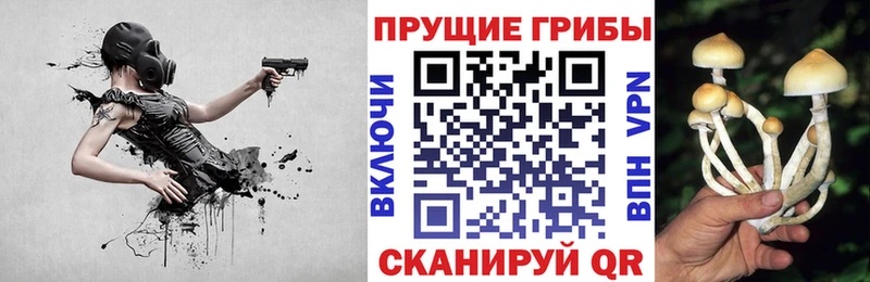 Галлюциногенные грибы Magic Shrooms  Наволоки 